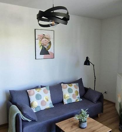 Cosy Apartment W Poblizu Tauron Arena Краків Екстер'єр фото
