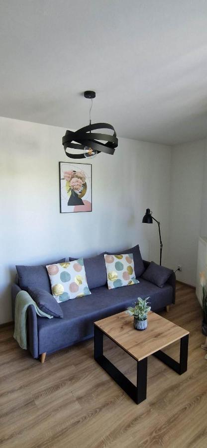 Cosy Apartment W Poblizu Tauron Arena Краків Екстер'єр фото