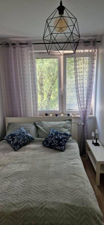Cosy Apartment W Poblizu Tauron Arena Краків Екстер'єр фото